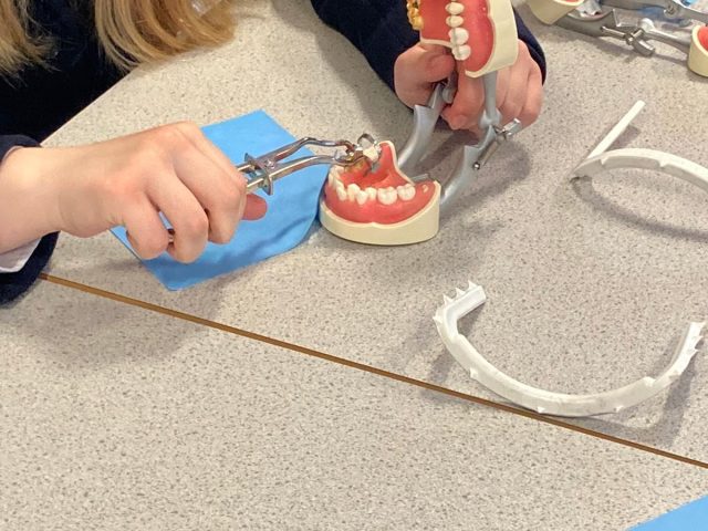 Health Social Care Dental